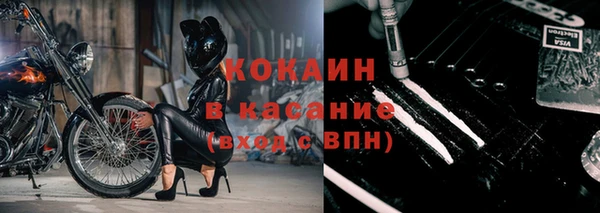 сатива Вяземский