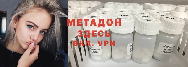 сатива Вяземский
