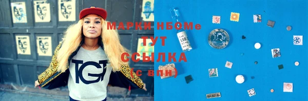 сатива Вяземский