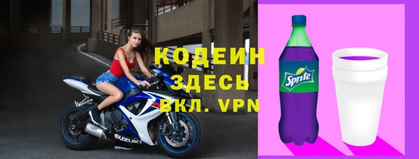 сатива Вяземский