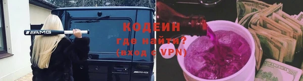 сатива Вяземский