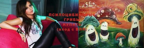 меф Горняк