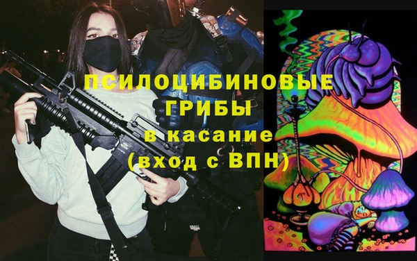 сатива Вяземский
