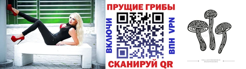 Купить закладки Красноперекопск Галлюциногенные грибы Psilocybine cubensis